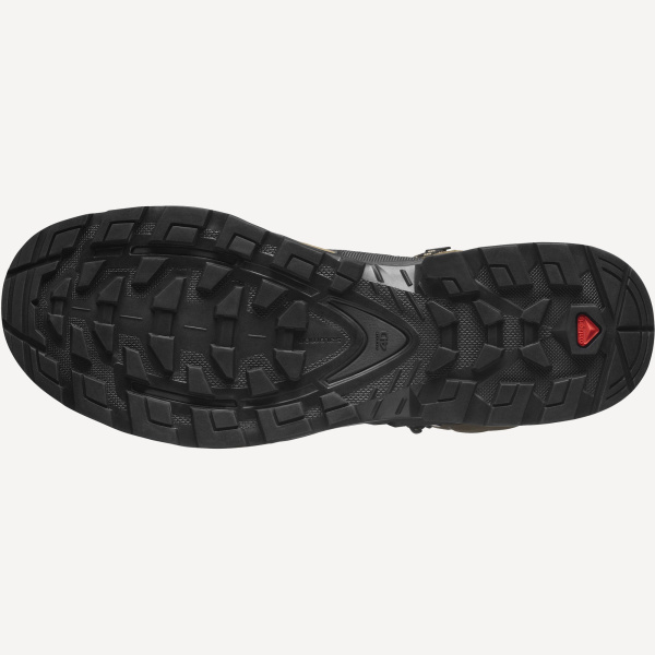 Ботинки QUEST 4 GTX (RU 45 UK 11 USm 11.5 СМ 29; desert palm/black/kelp)